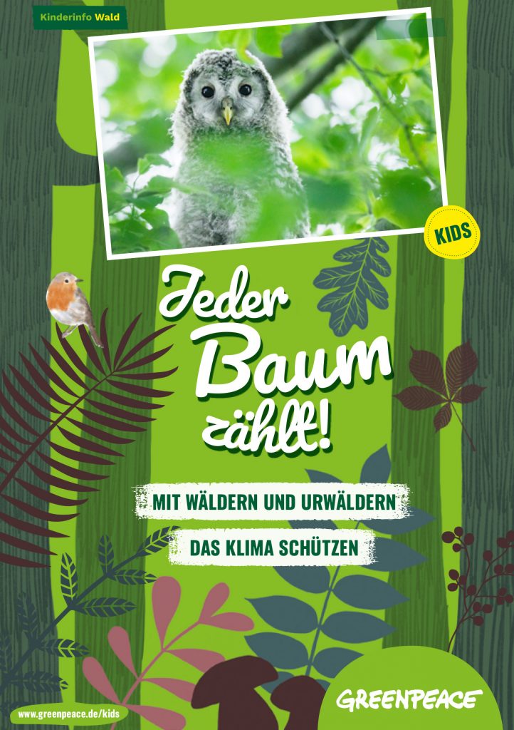 Abbildung: Titelbild Infobroschüre für Kinder zum Thema Wälder