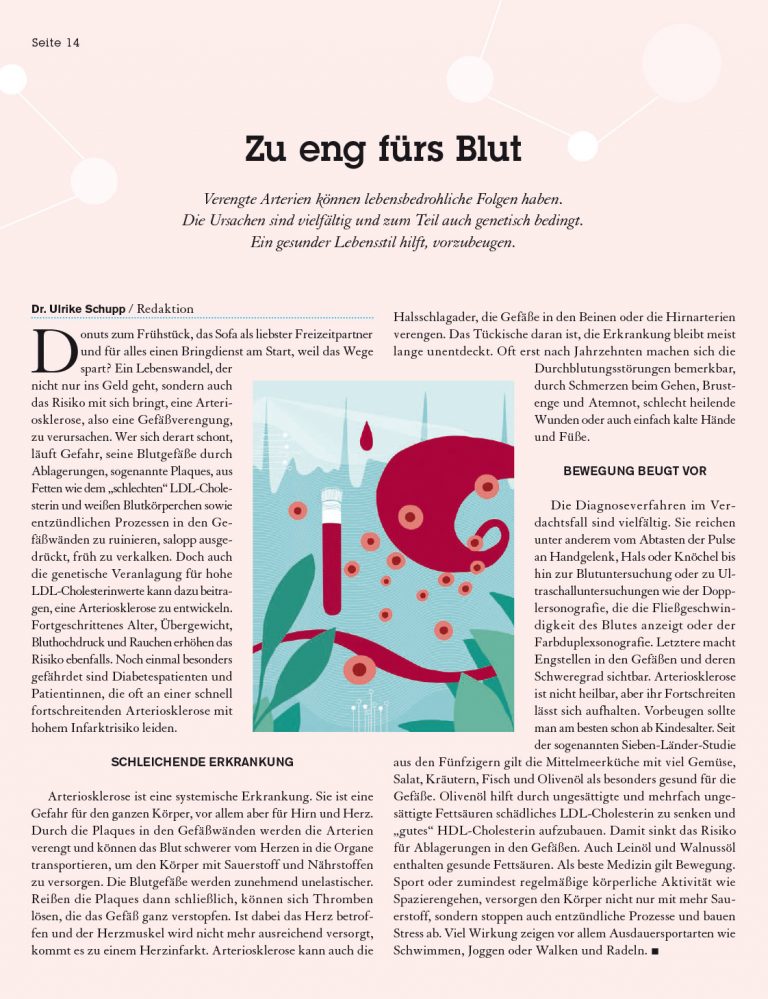 Abbildung Zeitschrift, Illustration Arteriosklerose