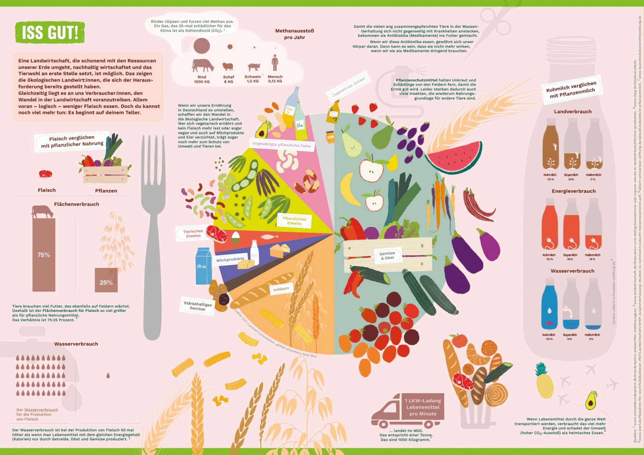 Abbildung Infografiken Planetary Health Diet