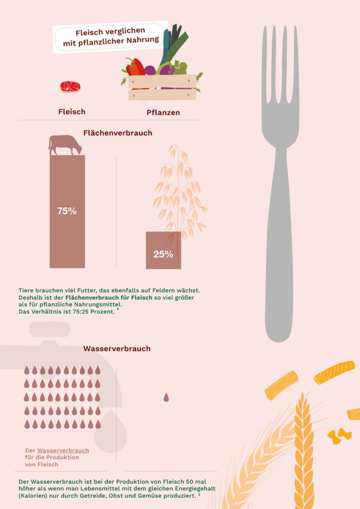 Abbildung Infografiken Ernährung, Fleisch vs. Pflanze