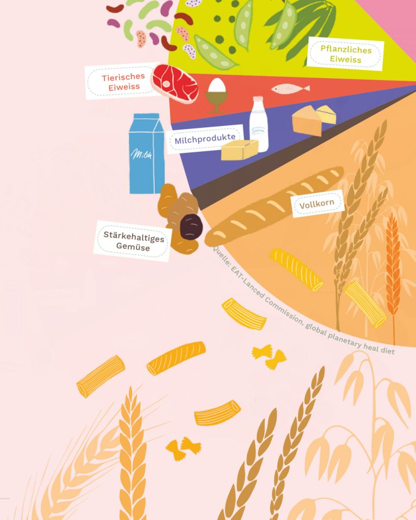 Abb. Infografiken: Teil der Planetary health diet