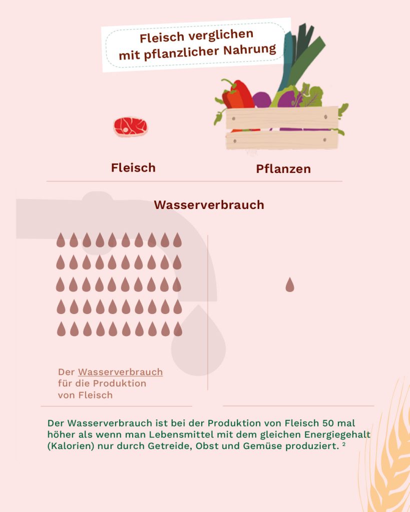 Abbildung Infografik: Das Verhältnis des Wasserverbrauchs von Fleisch vs. pflanzlicher Nahrung