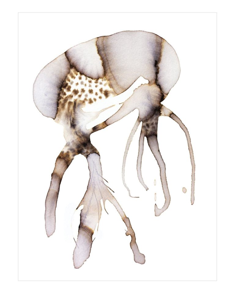 Aquarell, Quallen und wundersame Traumwesen